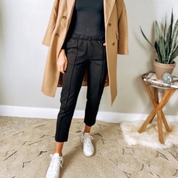 Everlane Black The Dream Pant Pull On Ponte Pants Straight Leg Sweatpants - Picture 12 of 12